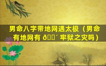 男命八字带地网遇太极（男命有地网有 🌴 牢狱之灾吗）